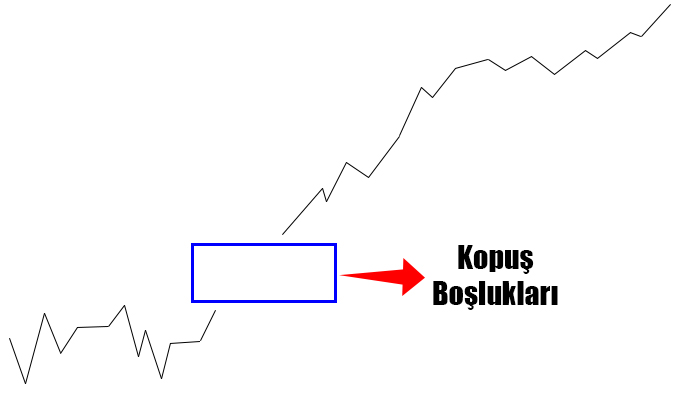 kopuş boşluğu nedir