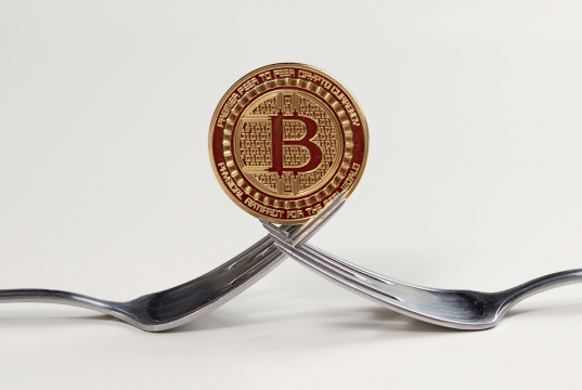 Fork Nedir? Hard Fork ve Soft Fork Ne Anlama Geliyor?