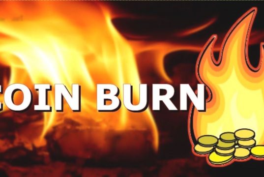 Coin Yakım İşlemi (Proof of Burn) Nedir?